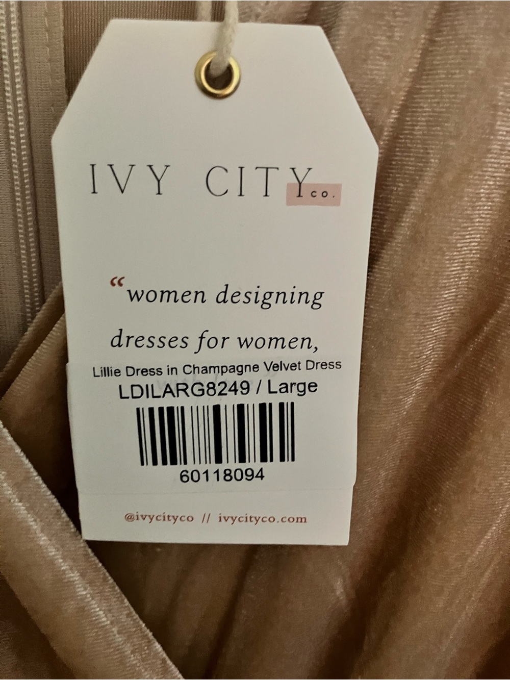Ivy City Co. Lillie Dress Champagne Velvet_-Large NWT - Picture 5 of 6